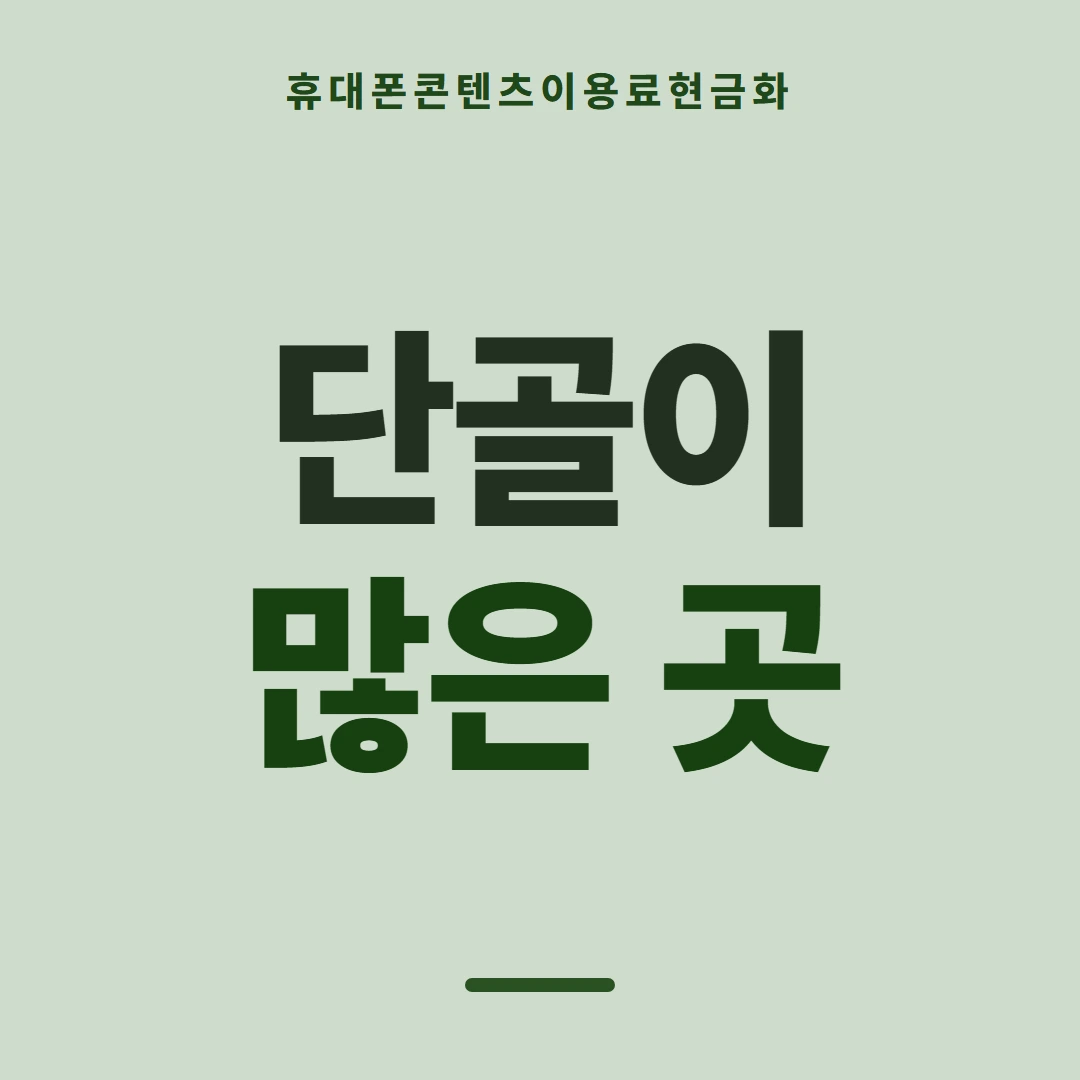 품티켓 휴대폰 회선의 콘텐츠이용료현금화 이용 내역 조회 안내 이미지